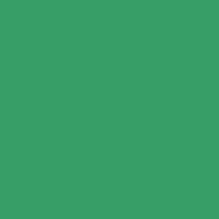 RB Confetti Cotton Solid Kelly Green 