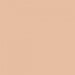 RB Confetti Cottons Color Nutmeg