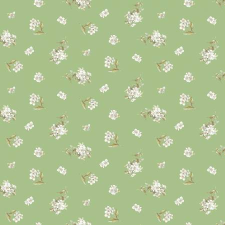 RB Peter Rabbit & Friends™ Green Jasmine 15864