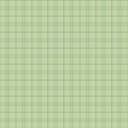 RB Peter Rabbit & Friends™ Fern Plaid 15865