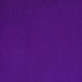 SF Purple Cuddle Solid