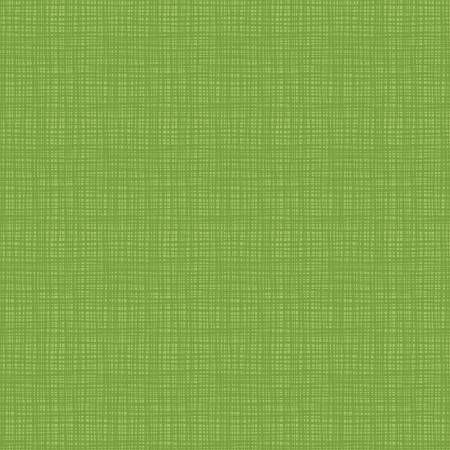 RB Texture In Color Turtle
