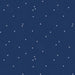RB Dainty Daisy Color Navy