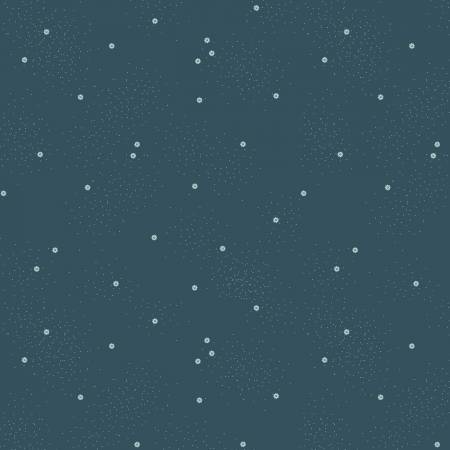 RB Dainty Daisy Stargazer