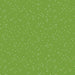 RB Blossoms In Color Holly
