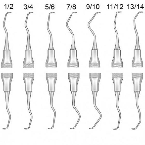 Gracey Curette 5/6