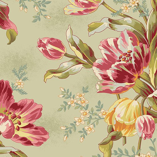 AN Lady Tulip A-181-N