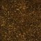 IB Solstice-Pine Needles-Brownie