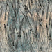 IB Scattered Lines-London Fog