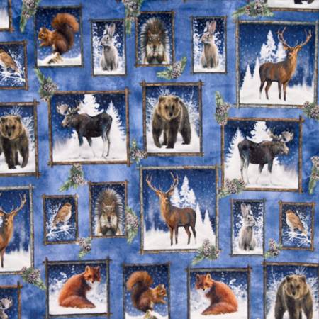 SF Multi Frosty Frames Digital Cuddle