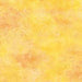 RK Renoir Texture-Sunshine 17878-130