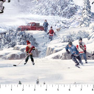 NC Hometown Hockey  DP22910-41
