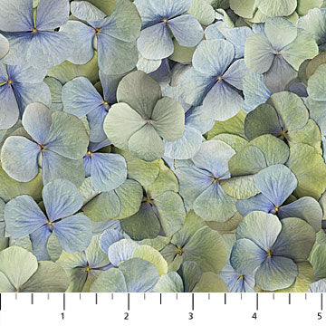NC Harlow DP23600 42 Blue Multi