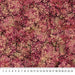 NC Bliss Basic 23887-24 Rose Petal