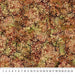 NC Bliss Basic 23887-34 Rust