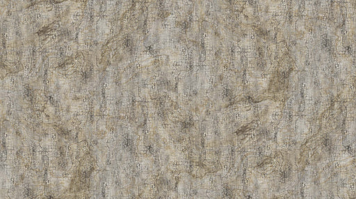NC New Dawn DP23927 94 Gray