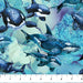 NC Multi Blue Whales