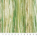 NC Cedar Crest Falls Olive DP26910-74