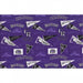 FT MLB Colorado Rockies 60297 B