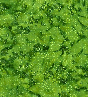 RJR Blossom Batiks-Droplets-Grass
