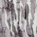 SF Elderberry Luxe Cuddle Frosted Himalayan 58/60