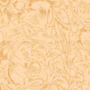 BE Wide Antique Floral 3101W 93 Super Pale