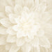 HO Dream Big PANEL P4389-22-Ivory