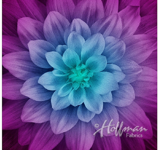 HO Dream Big Panel-Aurora