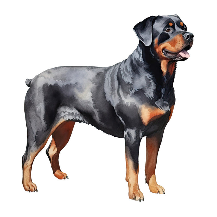 Watercolor Rottweiler Fabric Panel 5
