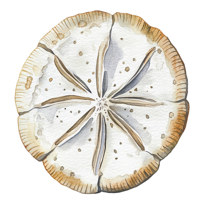 Watercolor Sea Shells Fabric Panel 15