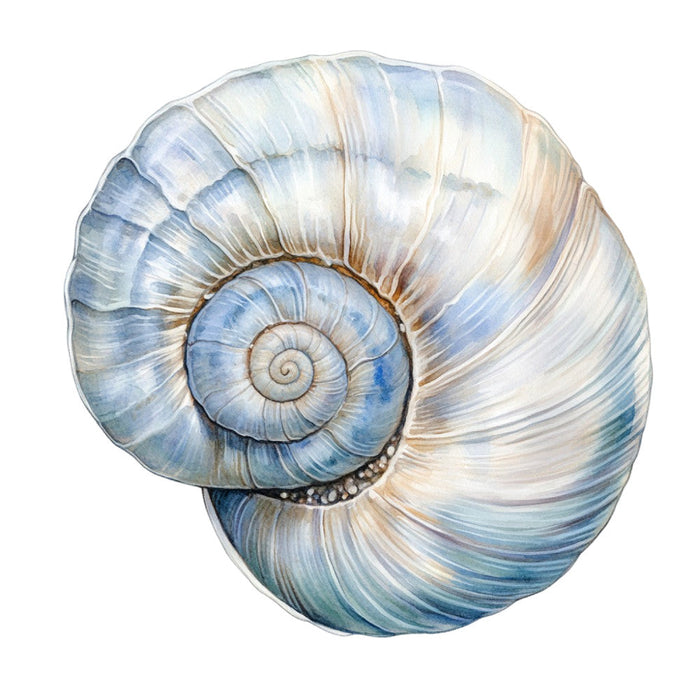 Watercolor Sea Shells Fabric Panel 12