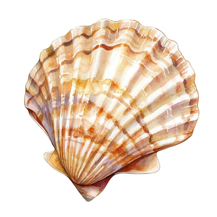 Watercolor Sea Shells Fabric Panel 28
