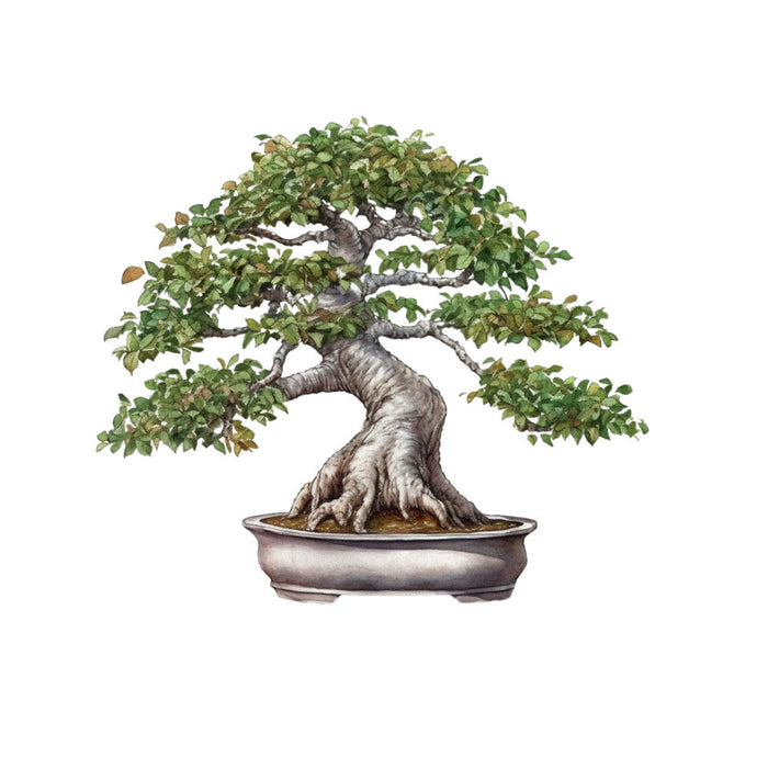 Bonsai Tree Fabric Panel 4