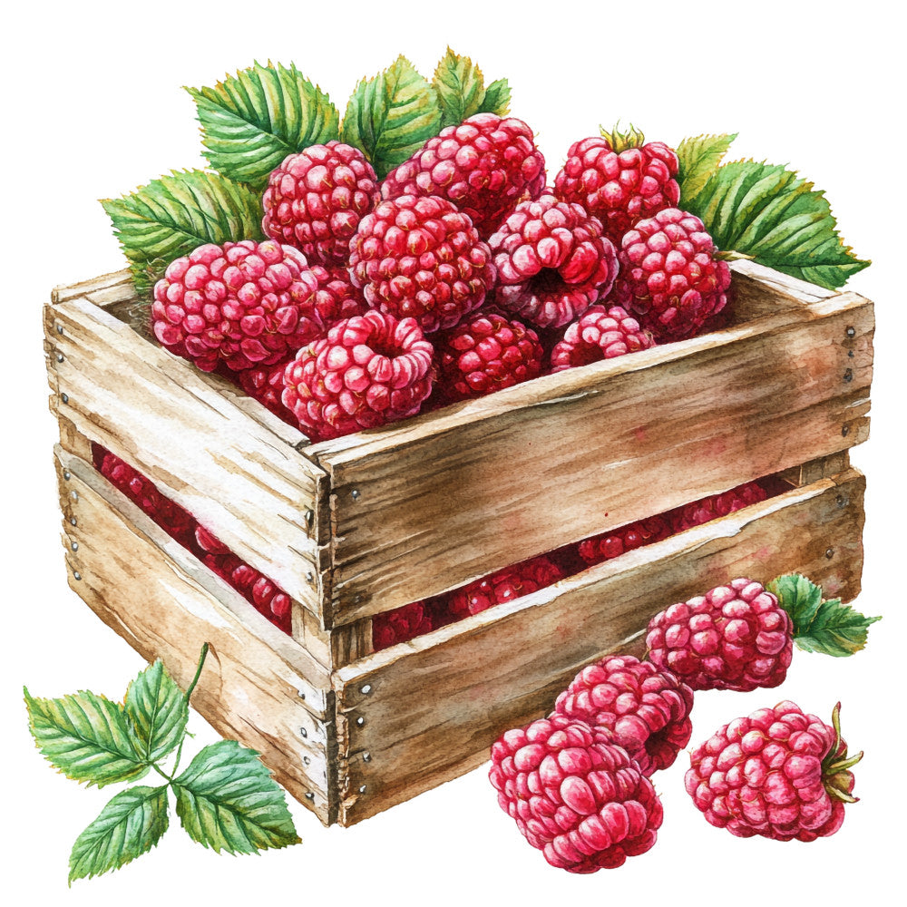 Flower Power Raspberry Fabric Raspberry Gardens Fabric Panel 14 — High Country Quilts