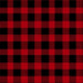 TT Red Buffalo Check Softie Minky