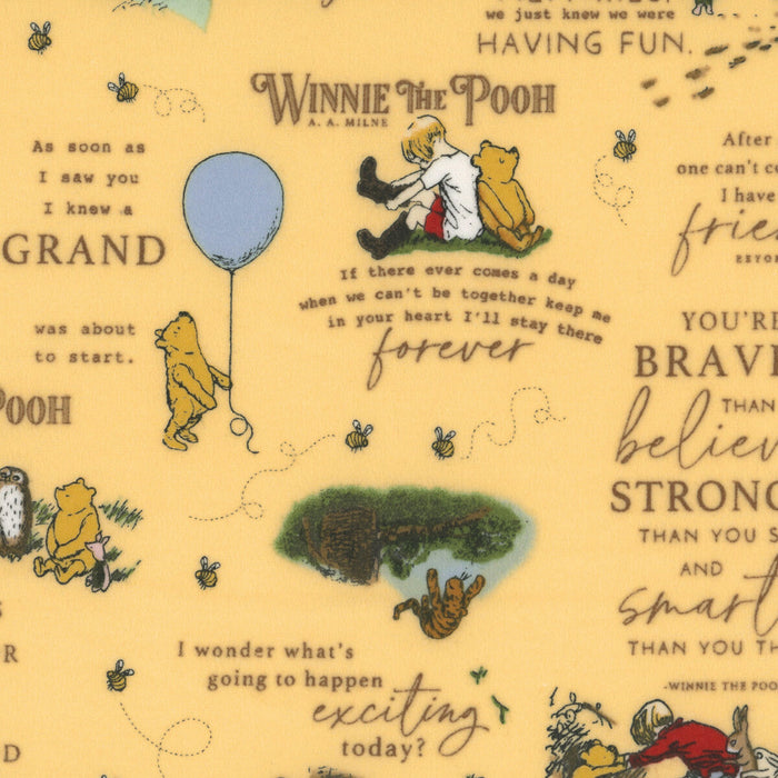 RB Winnie The Pooh Flannel Quotes Sunshine