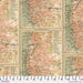FS Map Orange Tim Holtz PWTH233