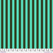 FS Tula Pink Tent Stripe - Fern