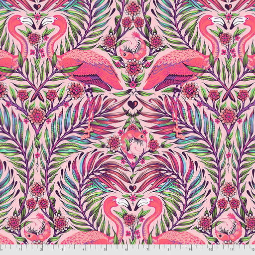 FS Pretty in Pink-Daydreamer-Dragonfruit