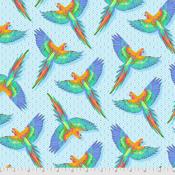 FS Macaw Ya Later-Daydreamer-Cloud