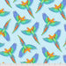 FS Macaw Ya Later-Daydreamer-Cloud