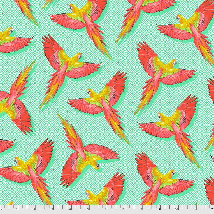 FS Macaw Ya Later- Daydreamer-Mango