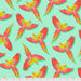 FS Macaw Ya Later- Daydreamer-Mango
