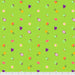 FS  Daydreamer Forbidden Fruit Snacks - Kiwi 