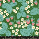 MO Ruby Star Reimagined Landscapes Strawberries Green