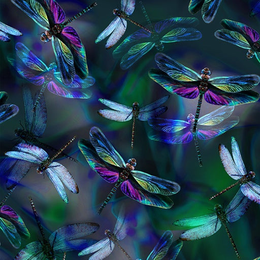 HO R4629 324 Dragonfly Dragonfly Dream