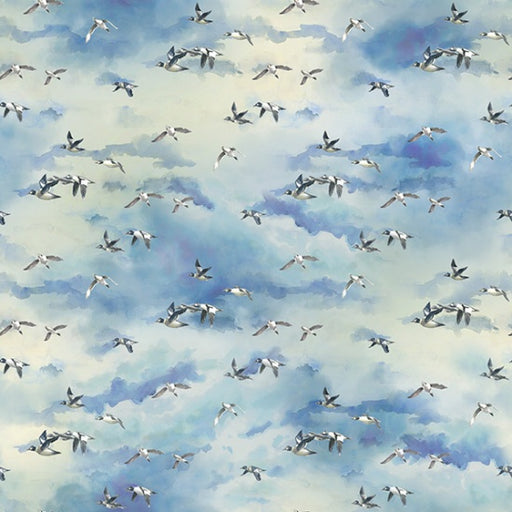 HO R4644 288 Clouds Fly Home