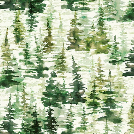 HO R4648 141 Pine Fly Home