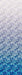HO R4650 276 Sea Urchin Backsplash