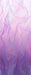 RJR Orchid Wisp of Light RJ6034